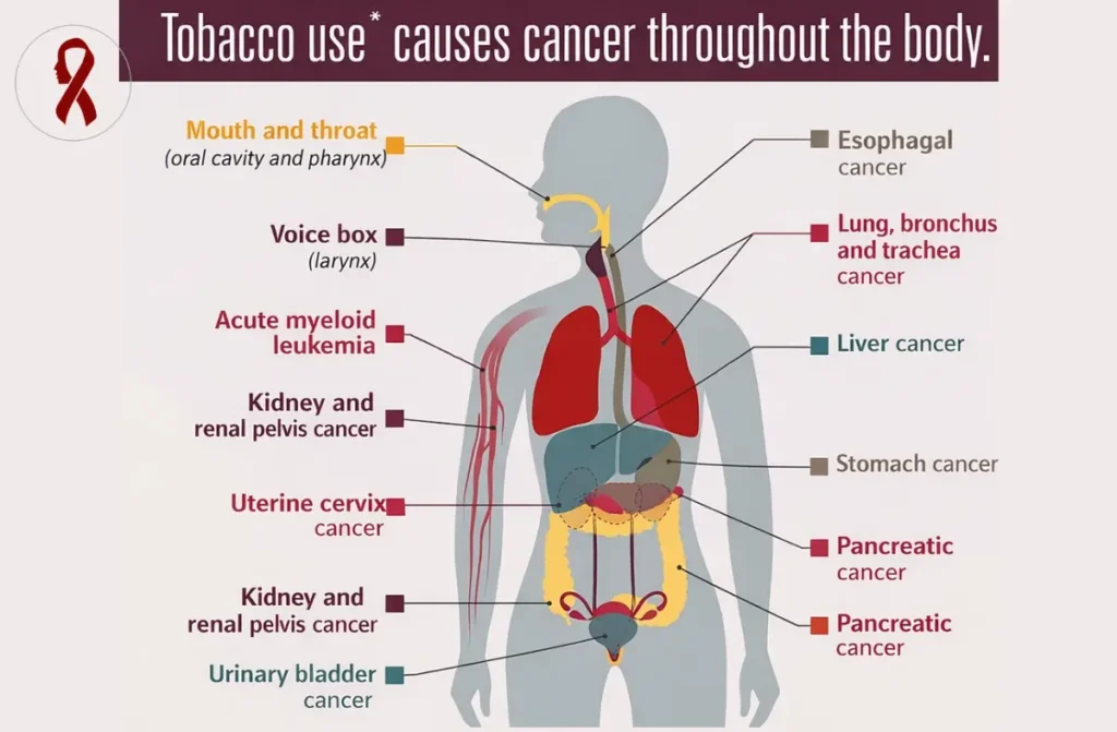 Oral Cancer Symptoms and Causes